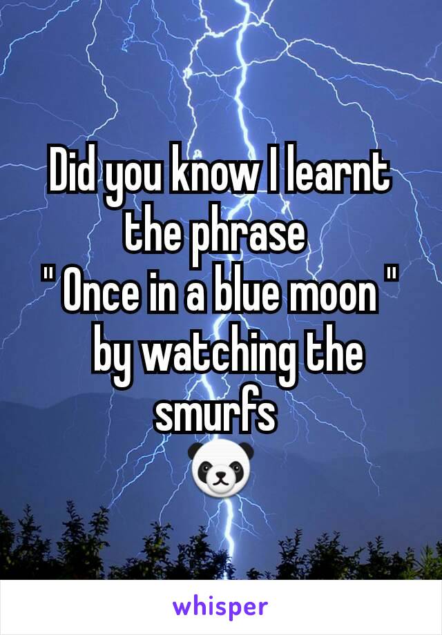 Did you know I learnt the phrase 
" Once in a blue moon "
  by watching the smurfs 
🐼