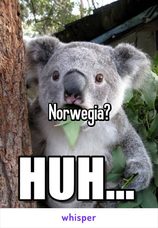 Norwegia?