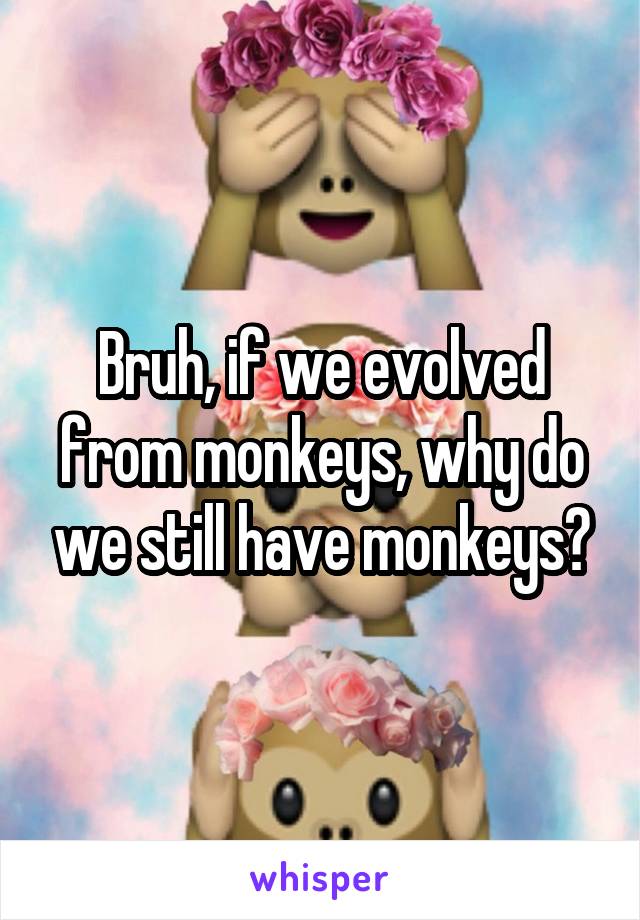 Bruh, if we evolved from monkeys, why do we still have monkeys?