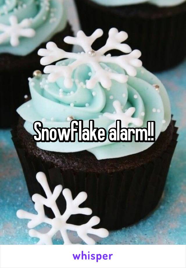 Snowflake alarm!!