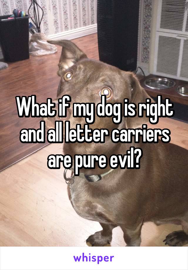 What if my dog is right and all letter carriers are pure evil?