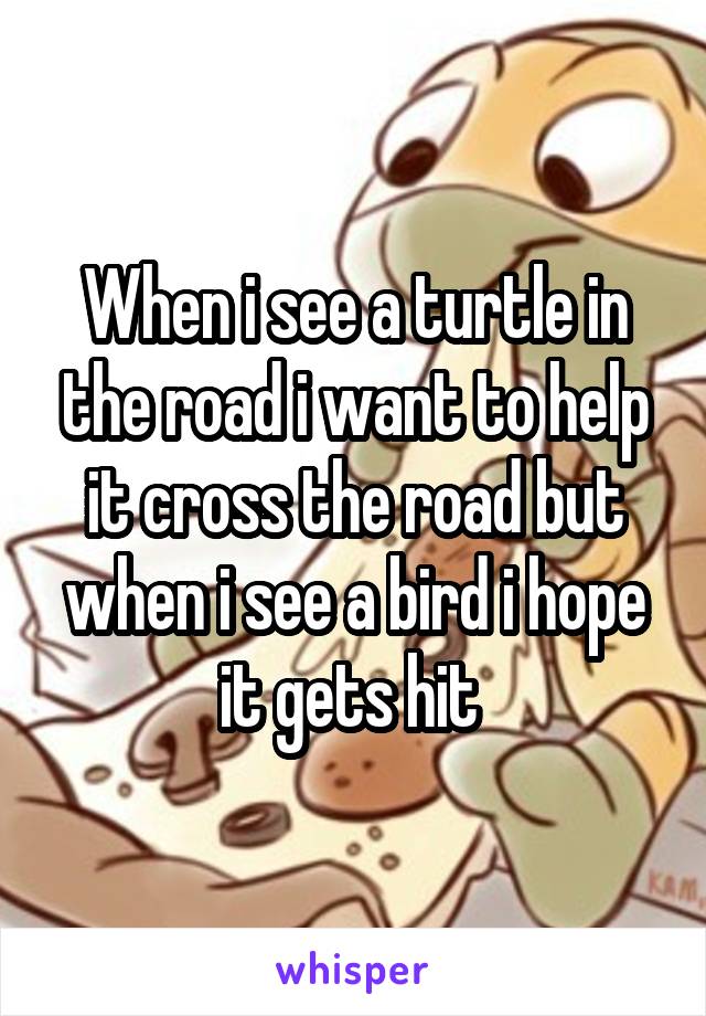 When i see a turtle in the road i want to help it cross the road but when i see a bird i hope it gets hit 