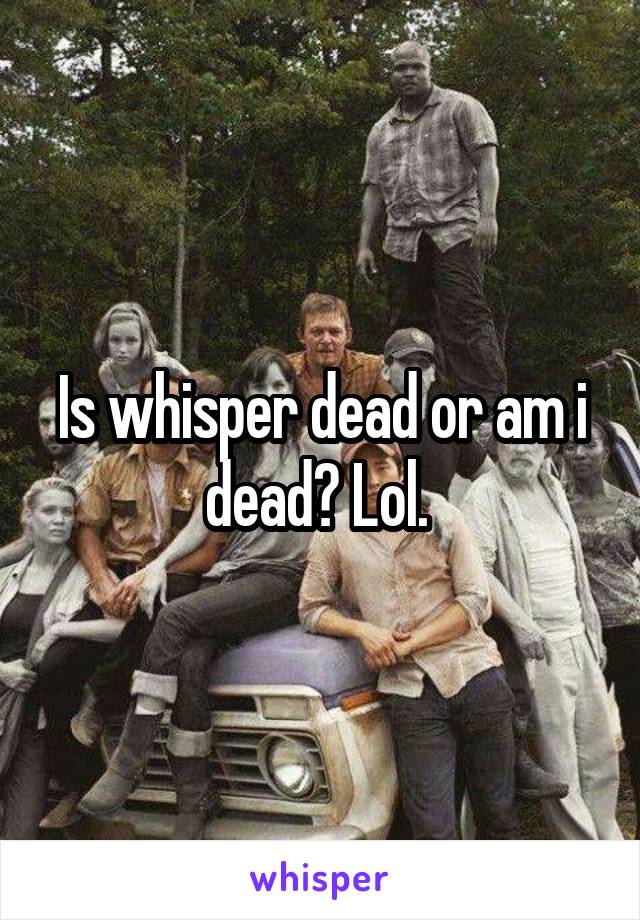 Is whisper dead or am i dead? Lol. 