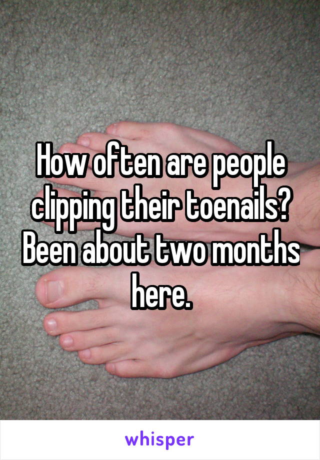 How often are people clipping their toenails? Been about two months here.