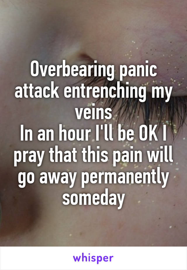 Overbearing panic attack entrenching my veins
In an hour I'll be OK I pray that this pain will go away permanently someday