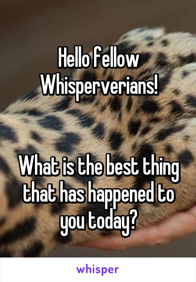 Hello fellow Whisperverians!


What is the best thing that has happened to you today?