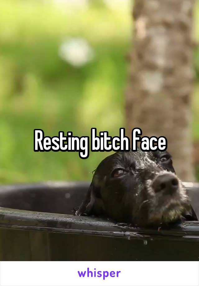 Resting bitch face