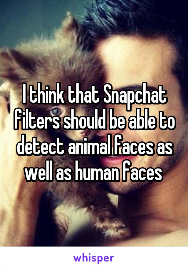 I think that Snapchat filters should be able to detect animal faces as well as human faces 