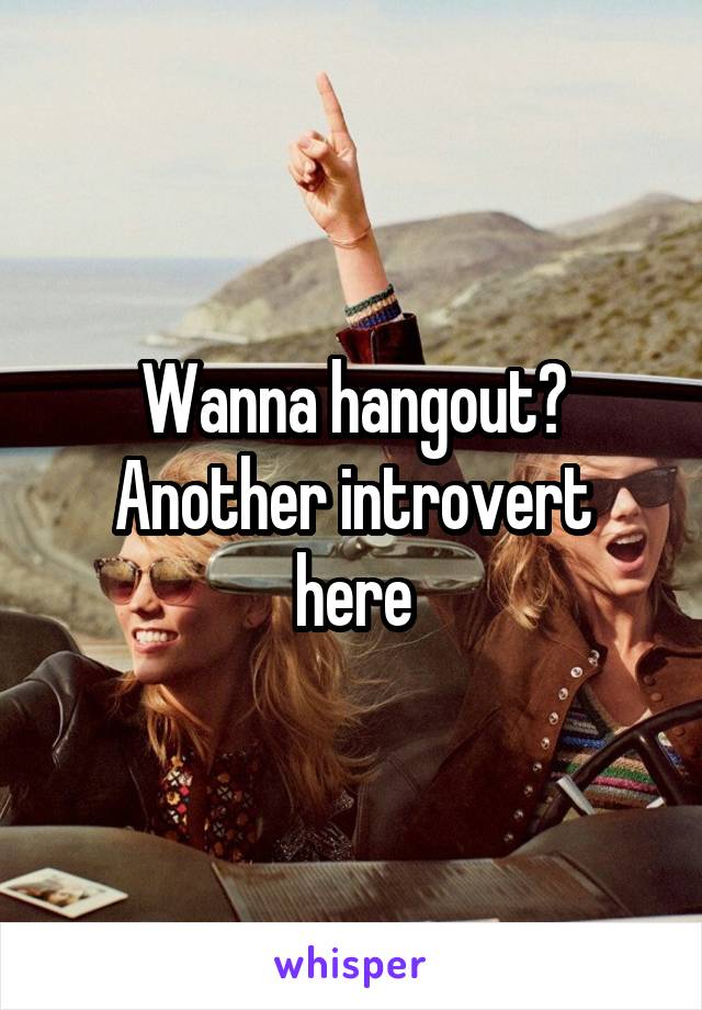 Wanna hangout?
Another introvert here