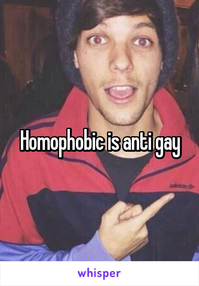 Homophobic is anti gay