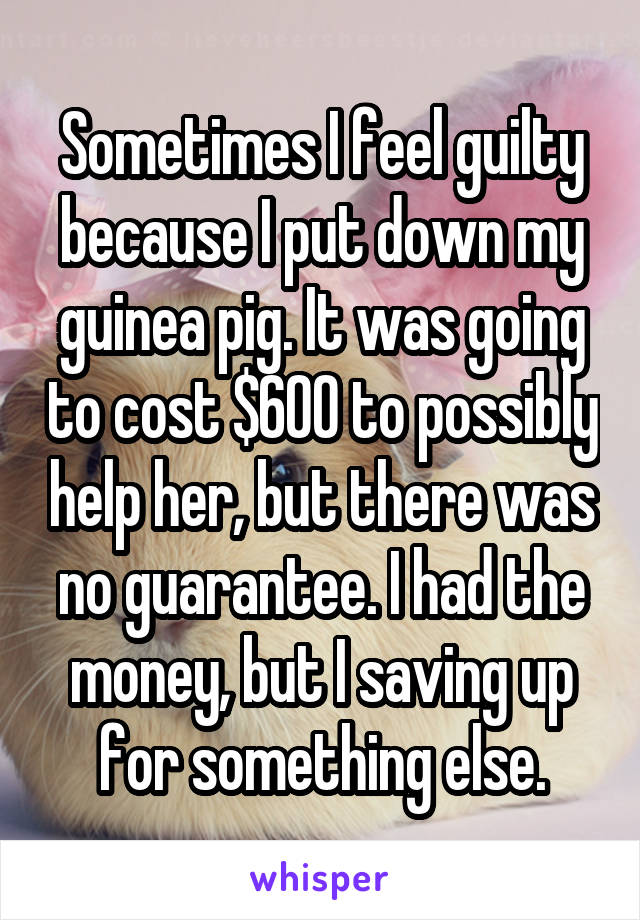 Sometimes I feel guilty because I put down my guinea pig. It was going to cost $600 to possibly help her, but there was no guarantee. I had the money, but I saving up for something else.