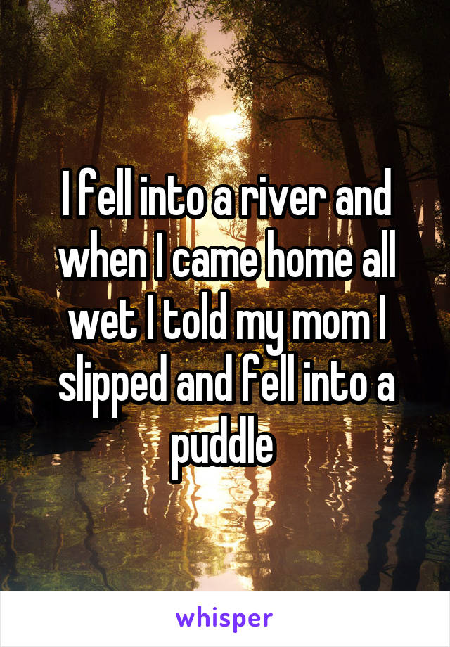 I fell into a river and when I came home all wet I told my mom I slipped and fell into a puddle 