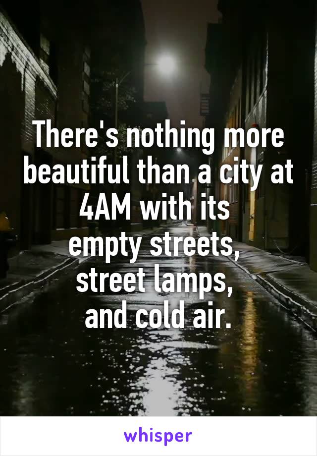 There's nothing more beautiful than a city at 4AM with its 
empty streets, 
street lamps, 
and cold air.