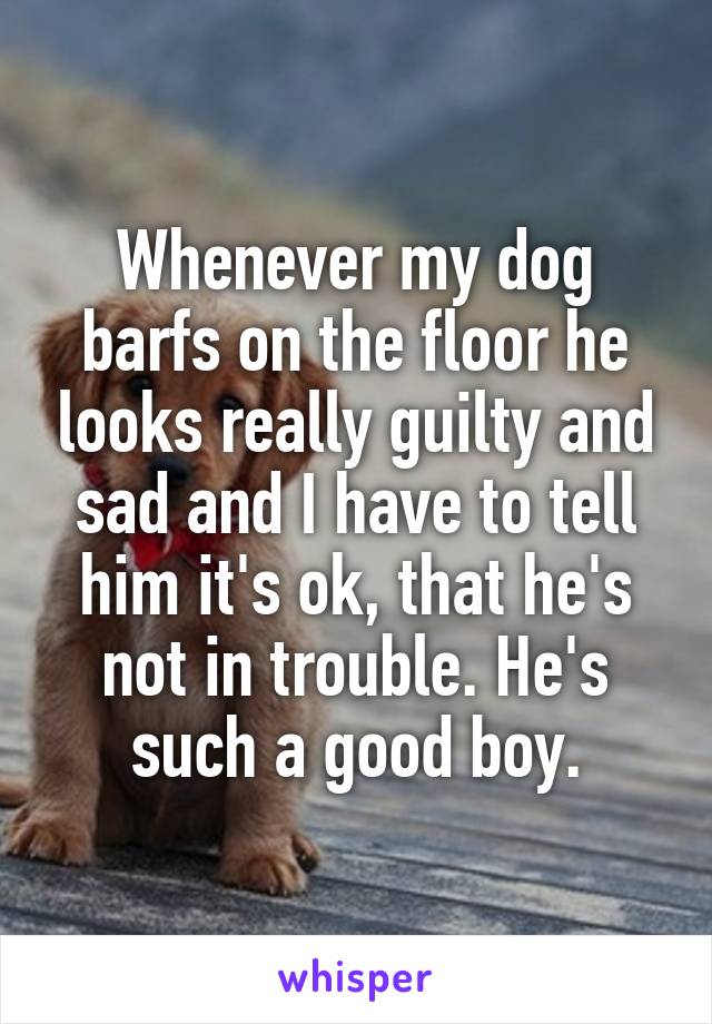 Whenever my dog barfs on the floor he looks really guilty and sad and I have to tell him it's ok, that he's not in trouble. He's such a good boy.