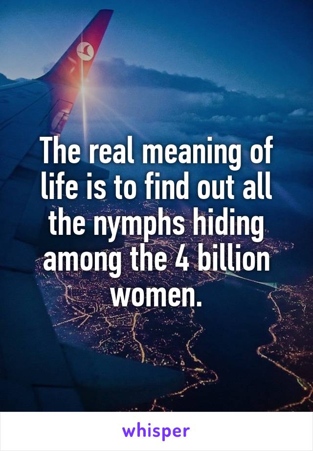 The real meaning of life is to find out all the nymphs hiding among the 4 billion women.