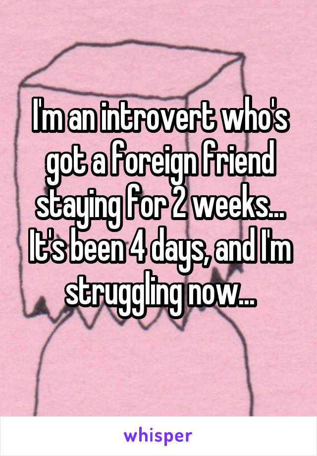 I'm an introvert who's got a foreign friend staying for 2 weeks... It's been 4 days, and I'm struggling now...
