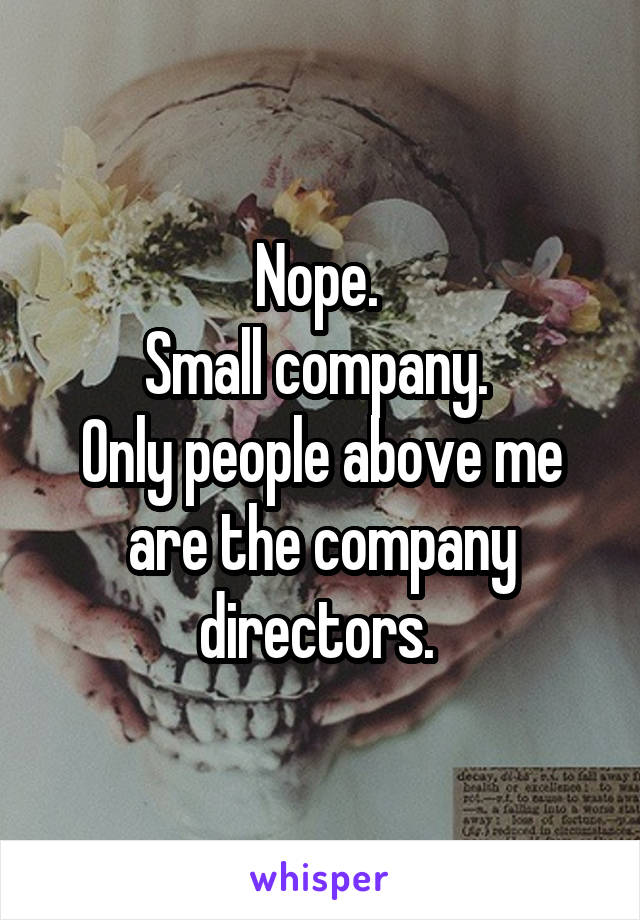 Nope. 
Small company. 
Only people above me are the company directors. 