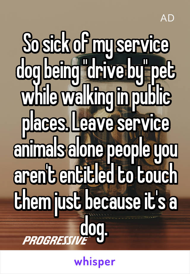 So sick of my service dog being "drive by" pet while walking in public places. Leave service animals alone people you aren't entitled to touch them just because it's a dog. 