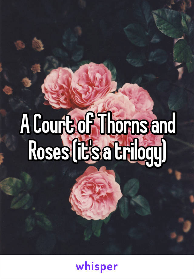 A Court of Thorns and Roses (it's a trilogy)