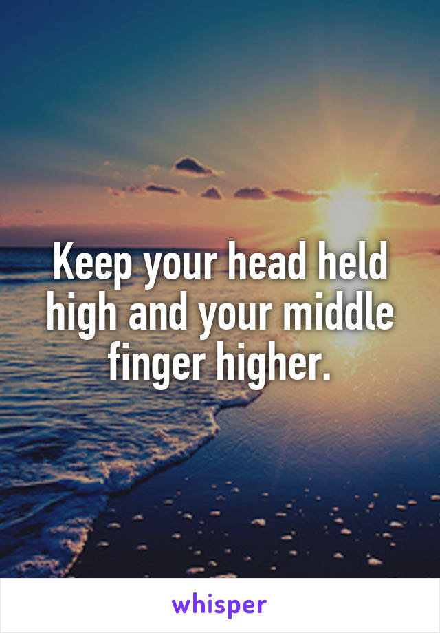 Keep your head held high and your middle finger higher.