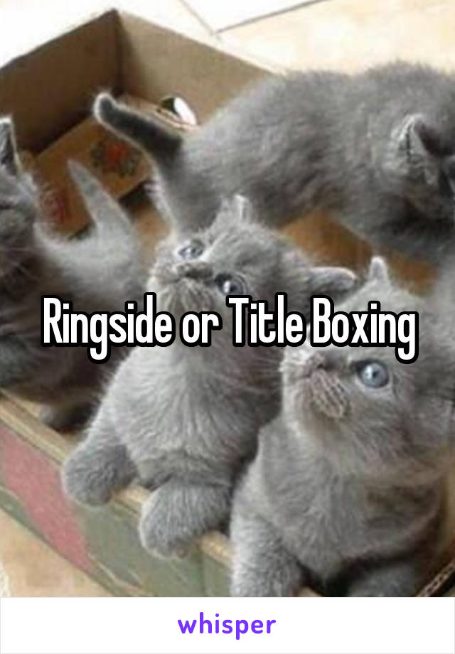 Ringside or Title Boxing