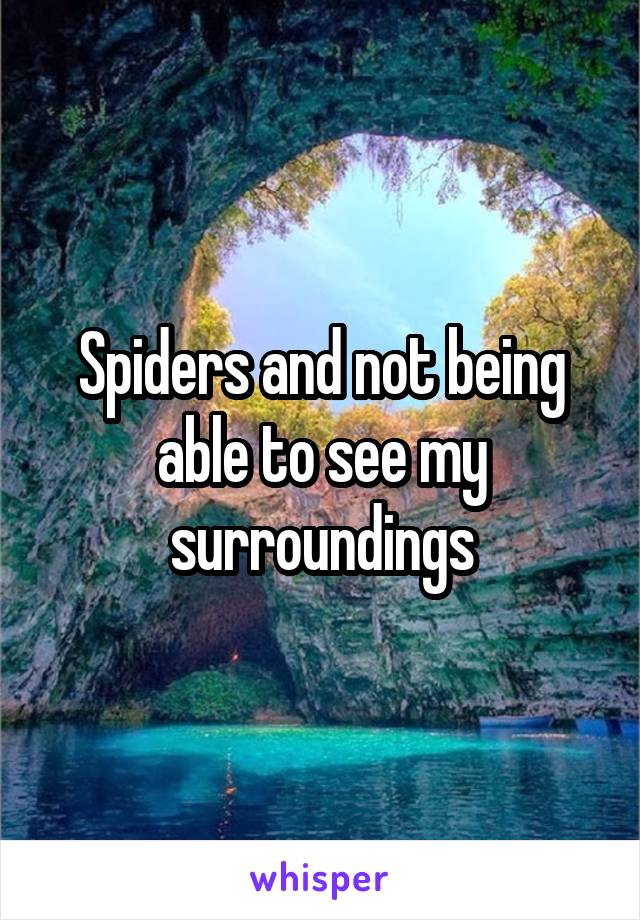 Spiders and not being able to see my surroundings