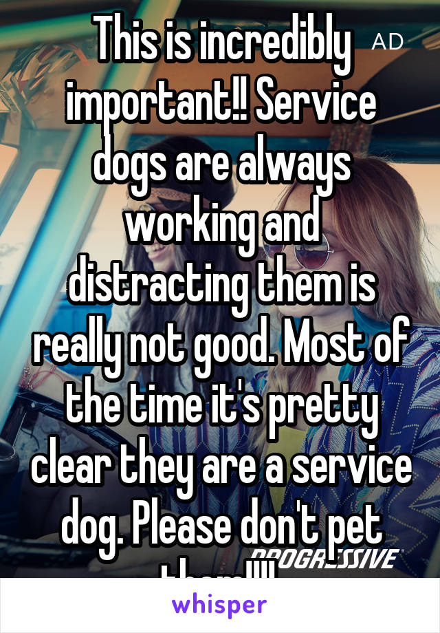 This is incredibly important!! Service dogs are always working and distracting them is really not good. Most of the time it's pretty clear they are a service dog. Please don't pet them!!!! 