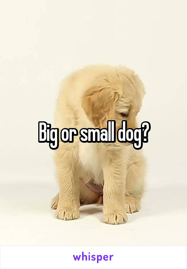 Big or small dog?