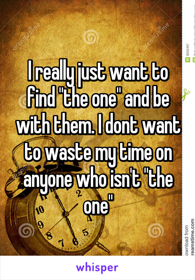 I really just want to find "the one" and be with them. I dont want to waste my time on anyone who isn't "the one"