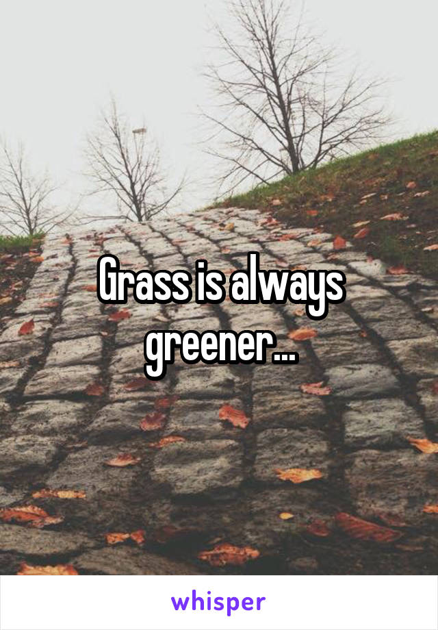 Grass is always greener...
