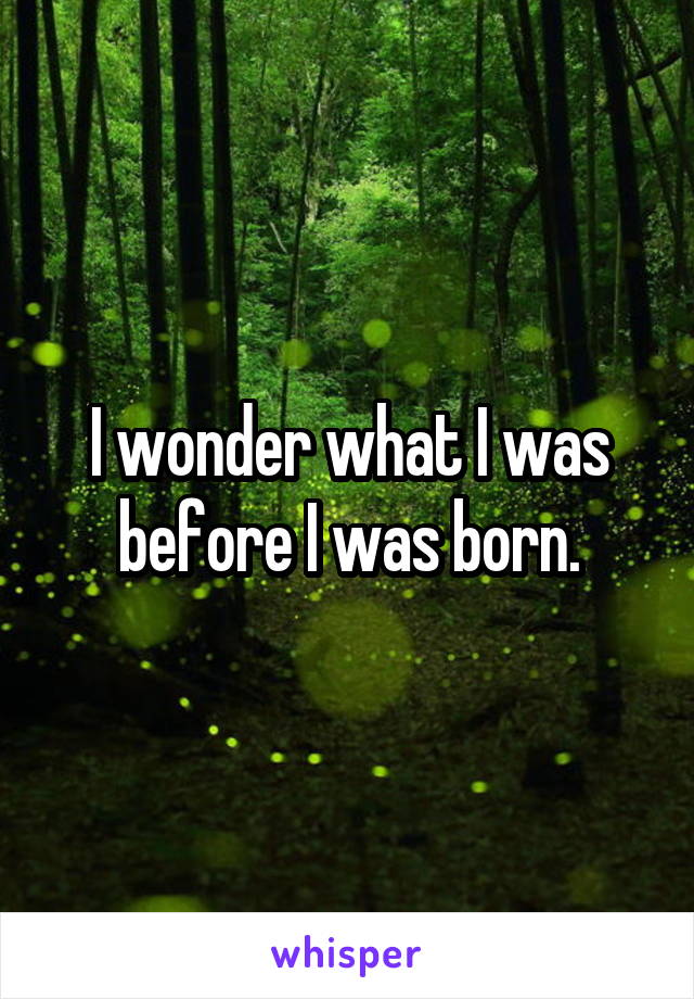 I wonder what I was before I was born.