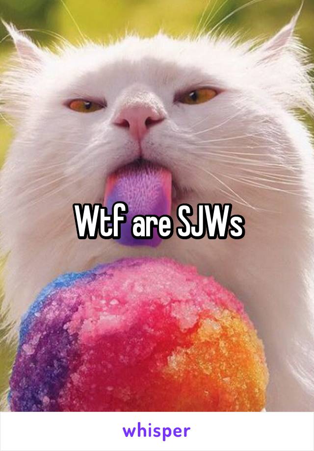 Wtf are SJWs