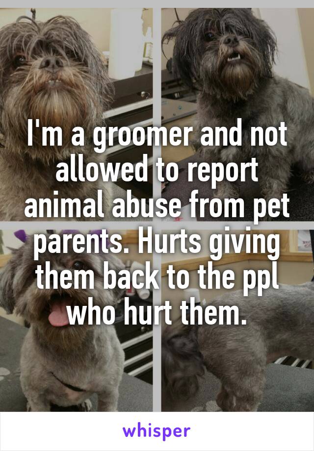 I'm a groomer and not allowed to report animal abuse from pet parents. Hurts giving them back to the ppl who hurt them.