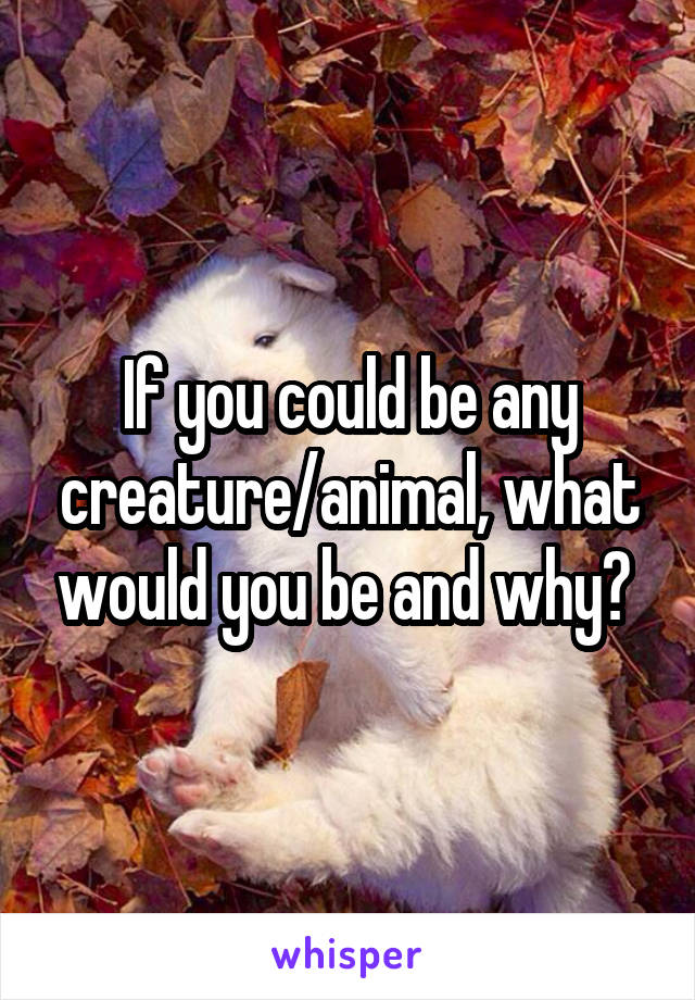 If you could be any creature/animal, what would you be and why? 