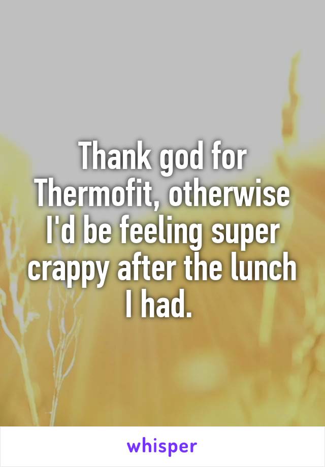 Thank god for Thermofit, otherwise I'd be feeling super crappy after the lunch I had. 