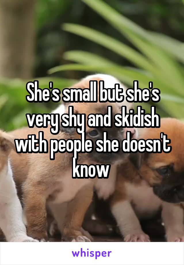 She's small but she's very shy and skidish with people she doesn't know 