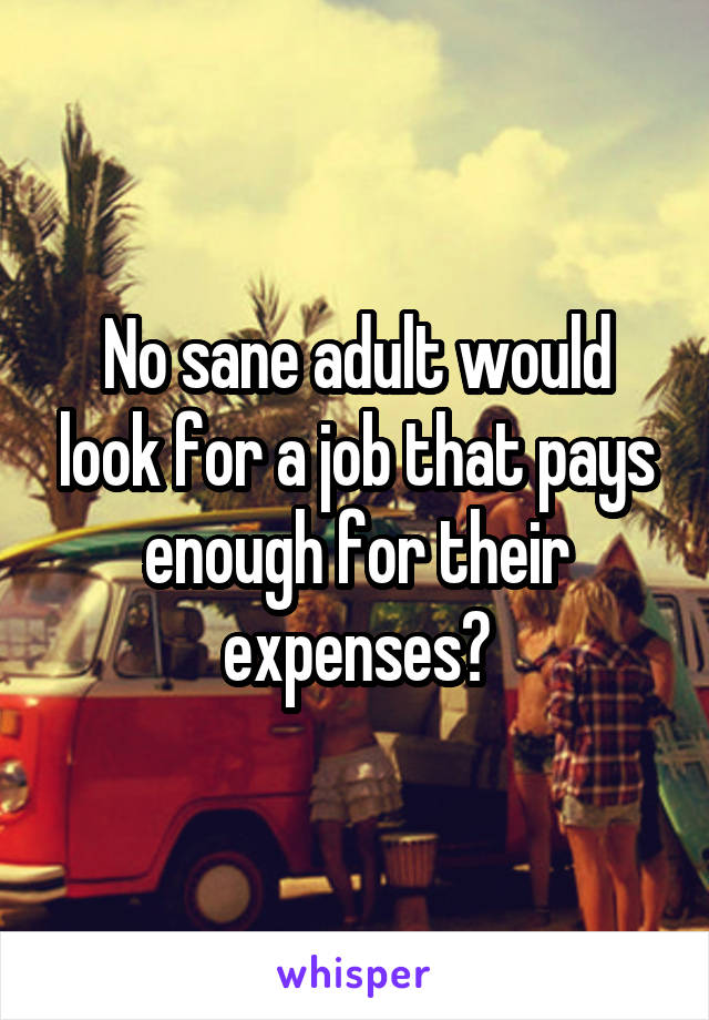 No sane adult would look for a job that pays enough for their expenses?