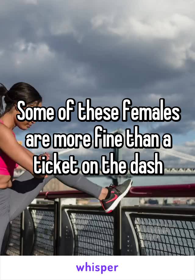 Some of these females are more fine than a ticket on the dash