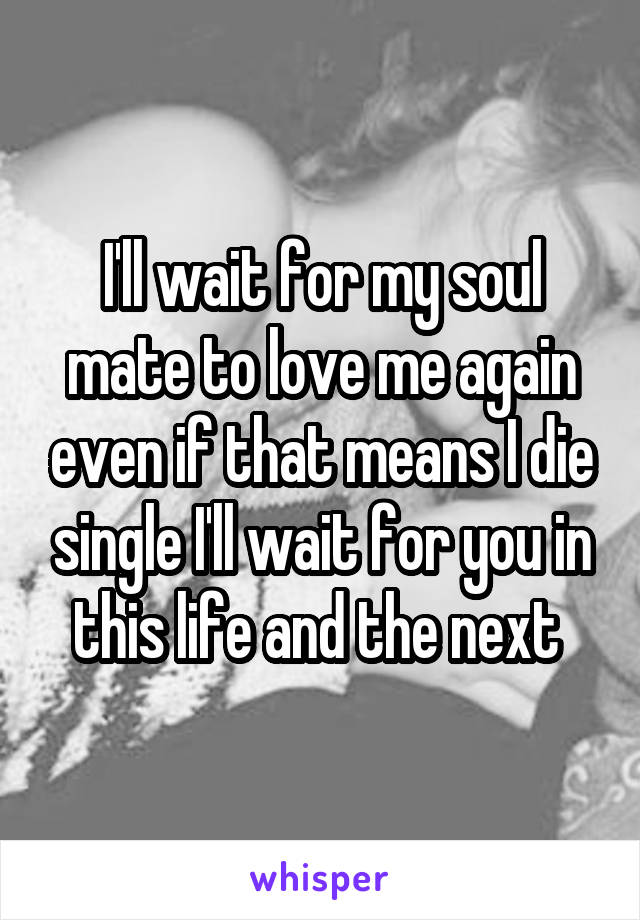 I'll wait for my soul mate to love me again even if that means I die single I'll wait for you in this life and the next 