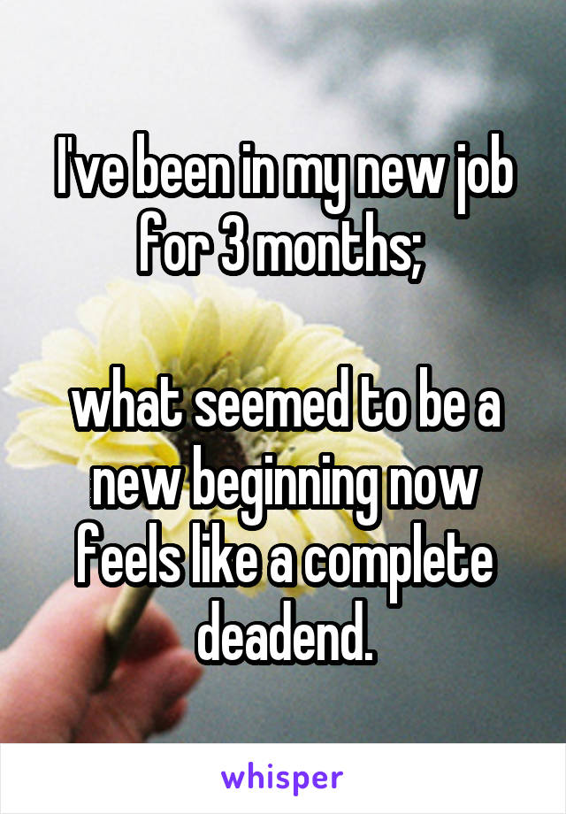 I've been in my new job for 3 months; 

what seemed to be a new beginning now feels like a complete deadend.