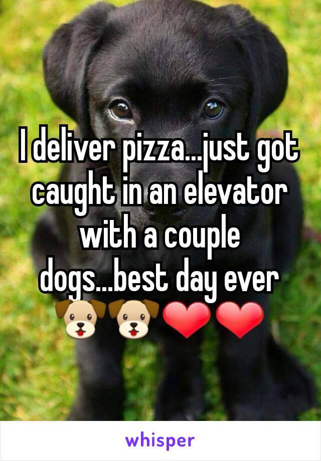 I deliver pizza...just got caught in an elevator with a couple dogs...best day ever🐶🐶❤❤