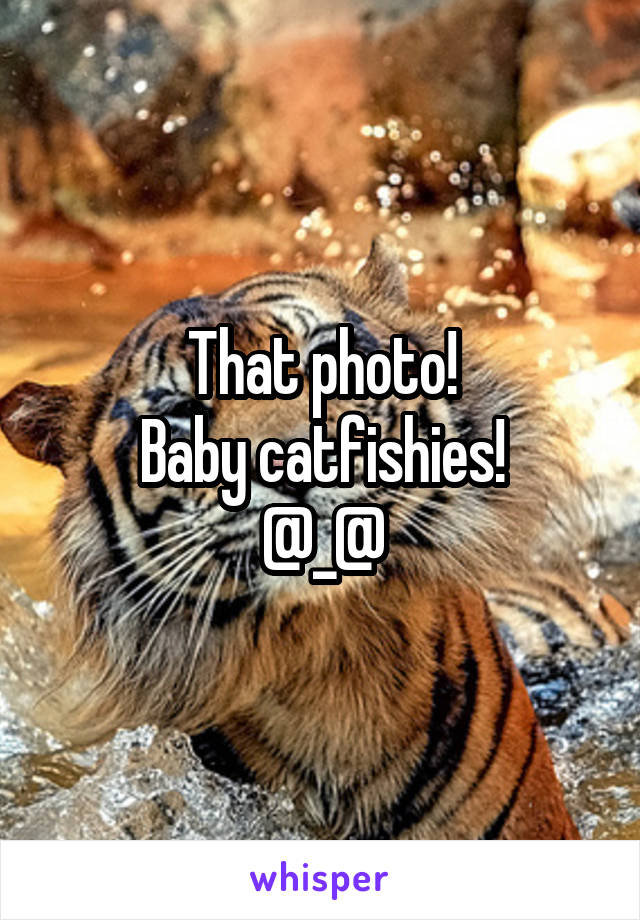 That photo!
Baby catfishies!
@_@