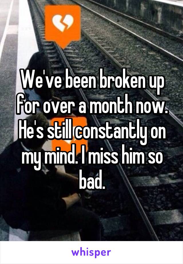 We've been broken up for over a month now. He's still constantly on my mind. I miss him so bad.