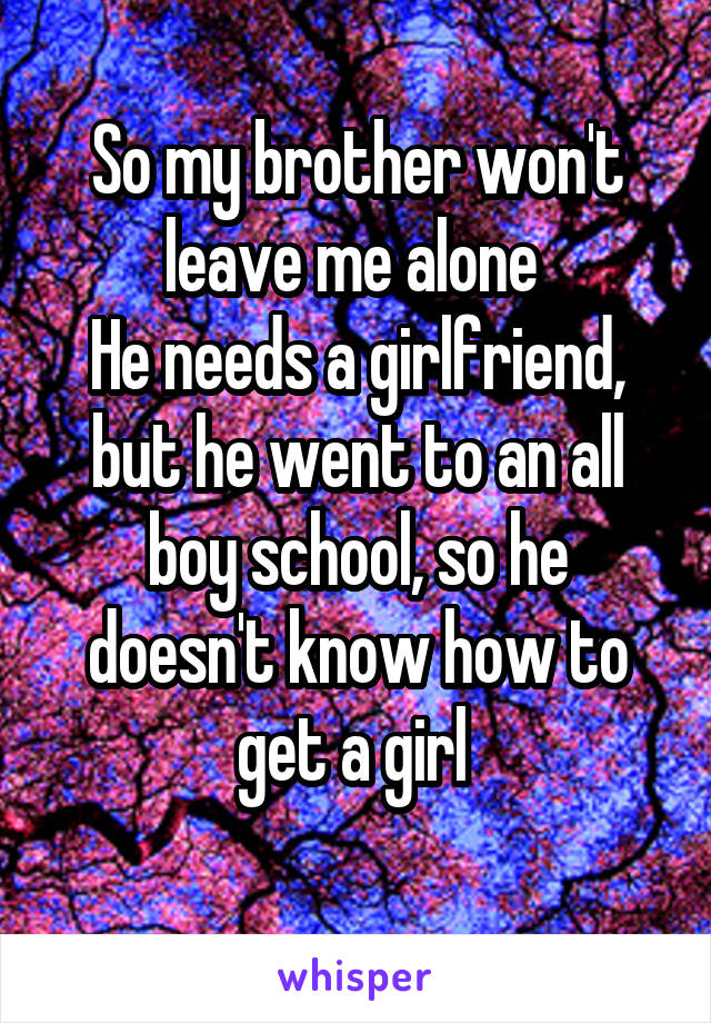 So my brother won't leave me alone 
He needs a girlfriend, but he went to an all boy school, so he doesn't know how to get a girl 
