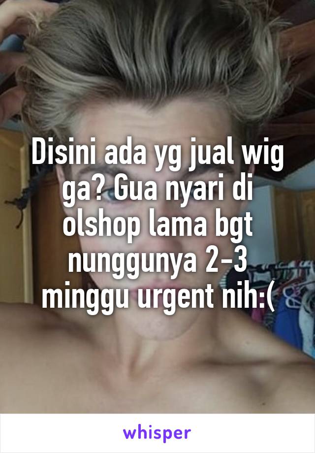 Disini ada yg jual wig ga? Gua nyari di olshop lama bgt nunggunya 2-3 minggu urgent nih:(