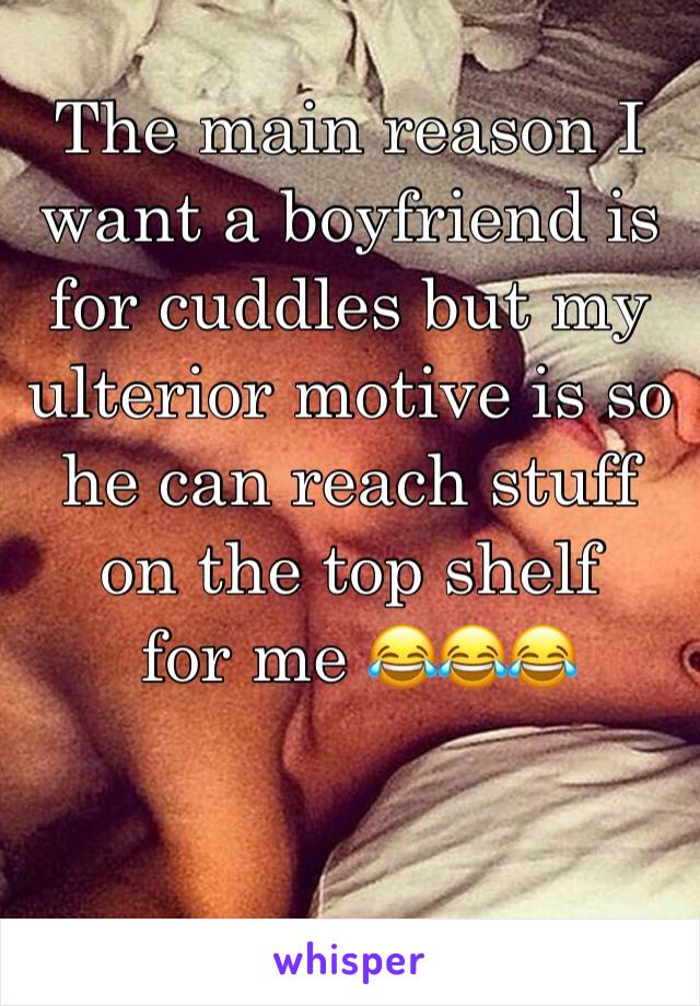 The main reason I want a boyfriend is for cuddles but my ulterior motive is so he can reach stuff on the top shelf
 for me 😂😂😂