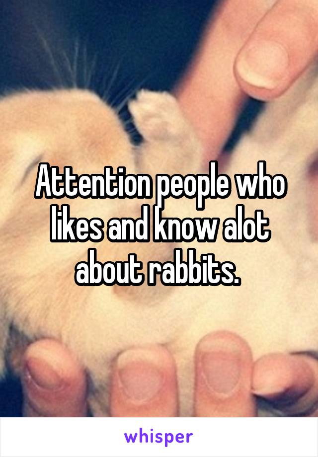 Attention people who likes and know alot about rabbits. 