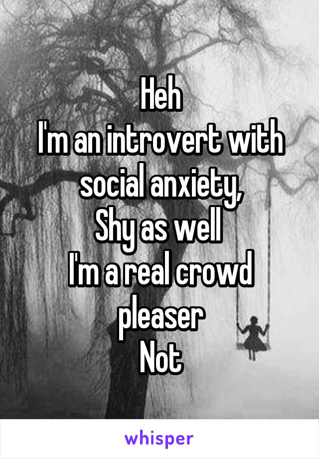 Heh
I'm an introvert with social anxiety,
Shy as well 
I'm a real crowd pleaser
Not