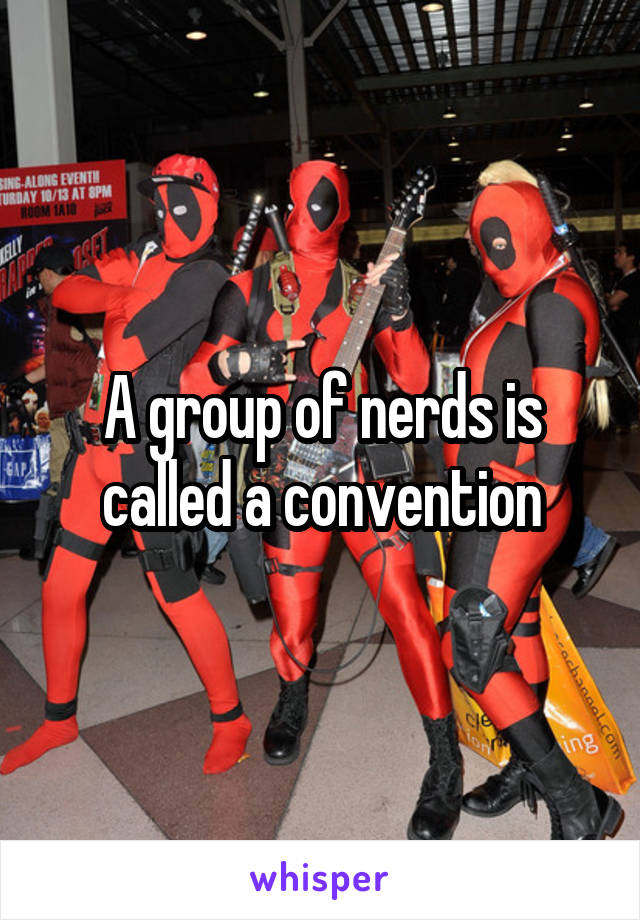 A group of nerds is called a convention