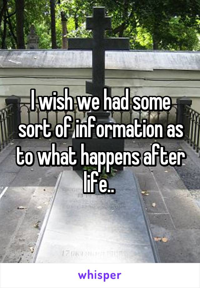 I wish we had some sort of information as to what happens after life.. 